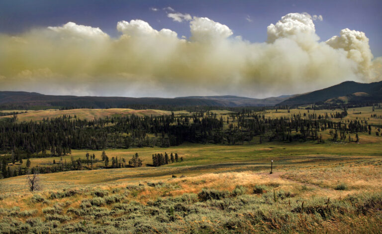 Wellness: Yellowstone, USA: Elderhostels Good Option for Mature Solos