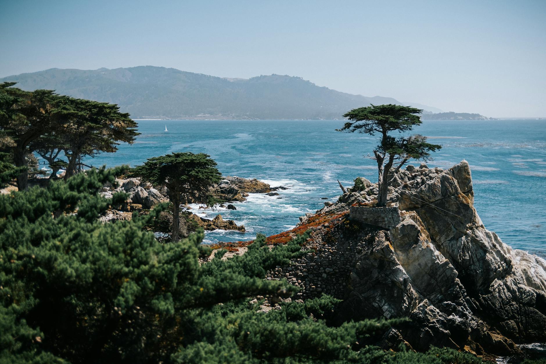 the lone cypress at pebble beach california