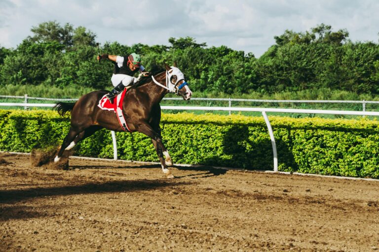 jockey riding horse at rally