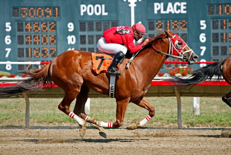 equestrian riding a brown horse