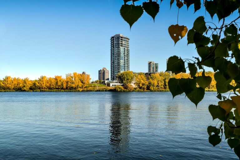 high rise building near trees