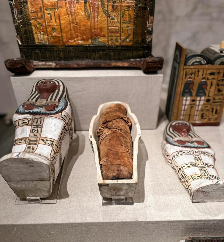 ancient egyptian mummies and sarcophagi display