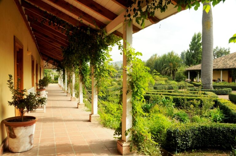 Hotel Review: A Chilean Wine Country Heavenly Hacienda – La Casona & Matetic Vineyards