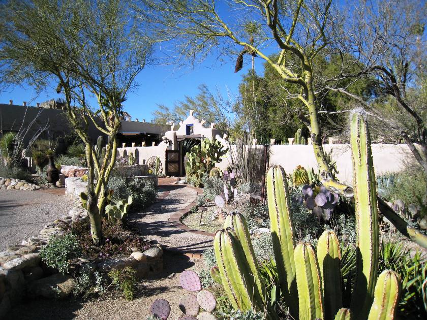 A Sun-Sational High Desert Escape: Tucson, Arizona – Tango Diva
