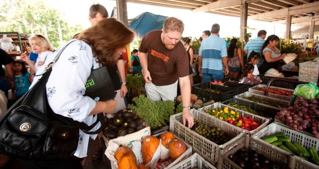 harvest market texas