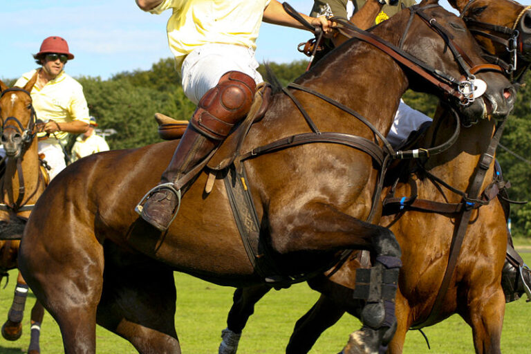 August 3: Stick & Ball Polo Tournament