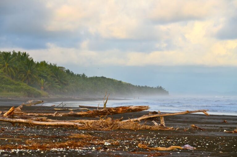 Alma del Pacifico: Colorful boutique hotel on one of Costa Rica’s best beaches