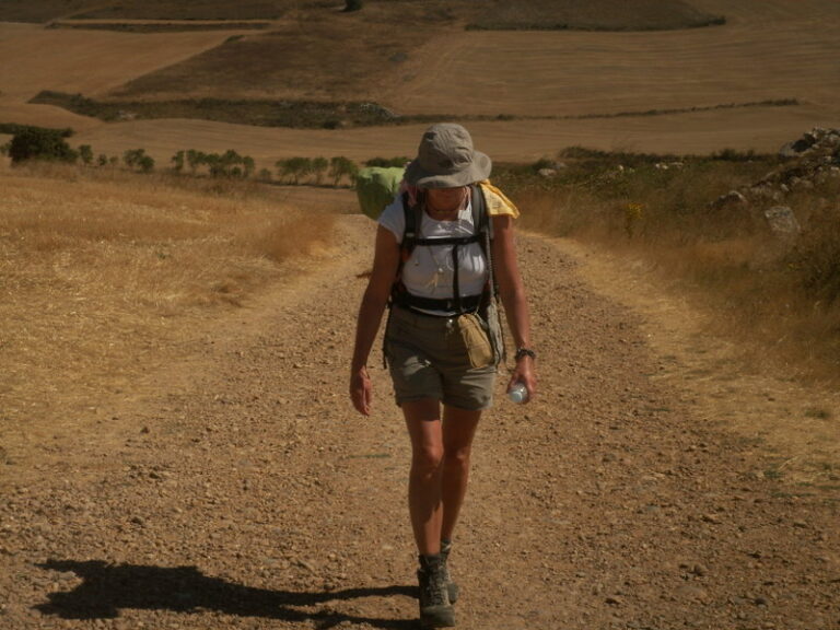 Walking The Way. El Camino de Santiago de Compostela