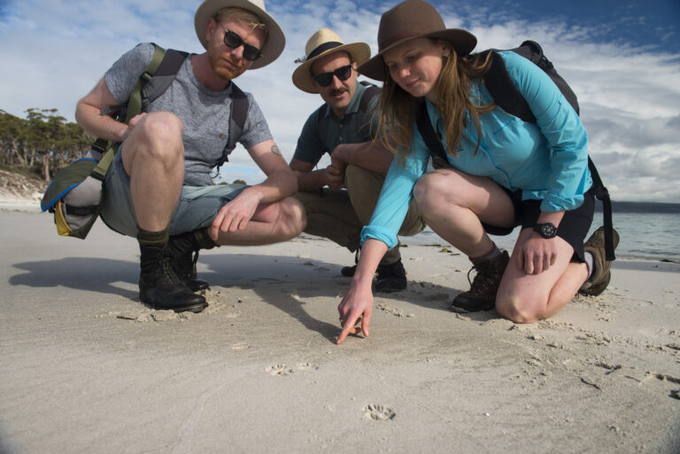 Maria Island Walk one of Australia’s Top 20 Island Escapes