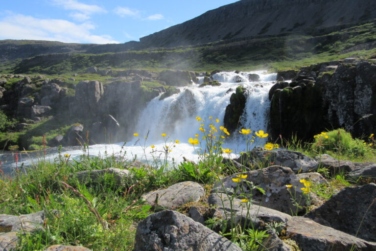 Voyage of Discovery with Iceland Pro Cruises