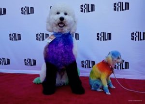 well groomed, film, castro theatre, SFFILM, dog grooming, competition,