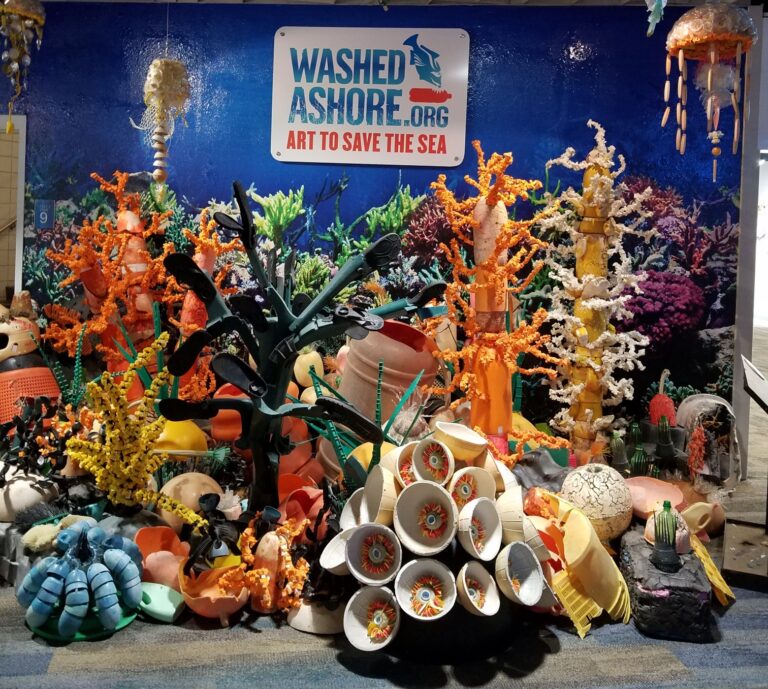 Washed Ashore: Turning Art into Activism