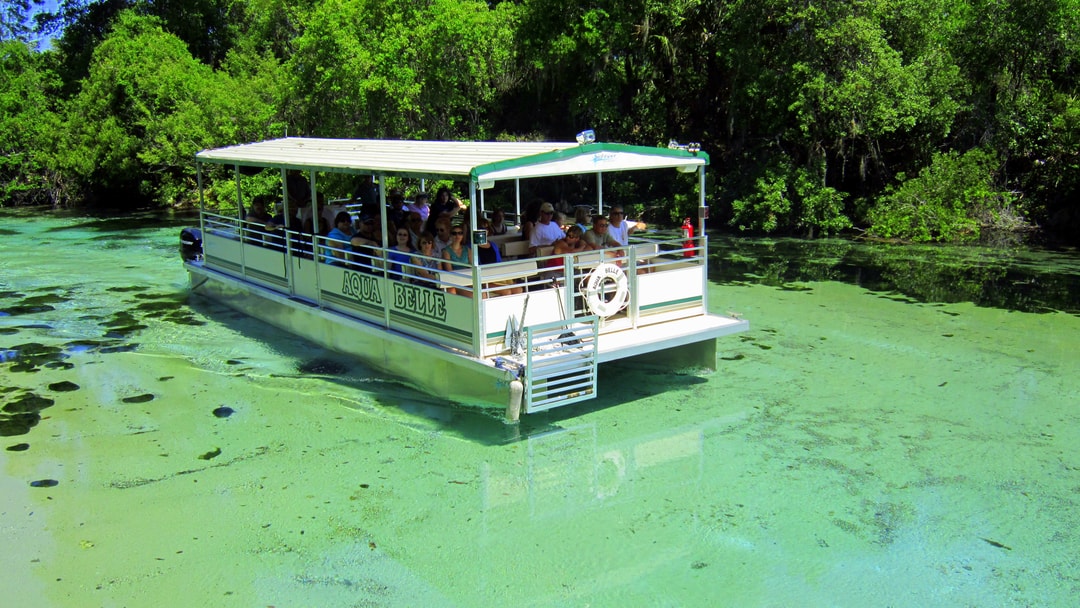 Weeki Wachee: A Mermaid Mecca & an Old Florida Treasure | Tango Diva