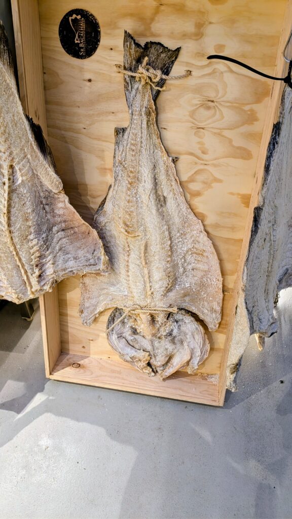 Dried salt cod displayed at a traditional Portuguese market