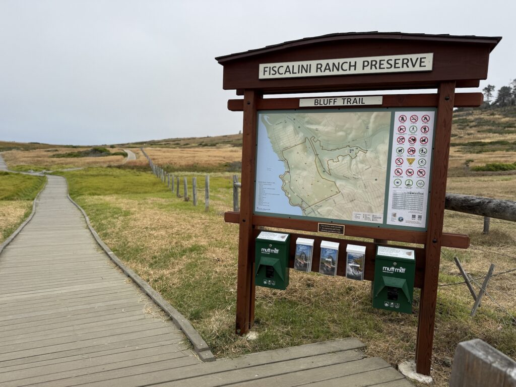 CAMBRIA, California USA Fiscalini Ranch Preserve Bluff Trail great for hiking